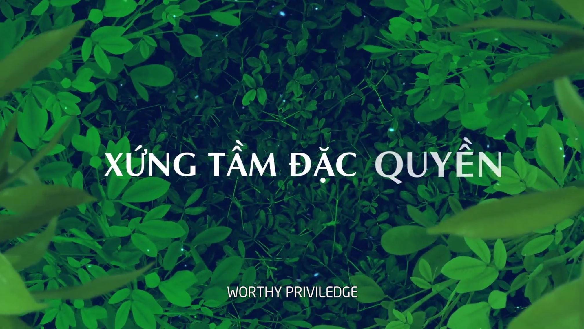 [PHIM GIỚI THIỆU] THE ANTONIA - Một không gian sống art giữa phố thị phồn hoa
